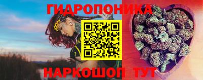 apvp Пыть-Ях