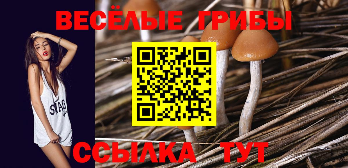 Псилоцибиновые грибы мухоморы  Вход с VPN  наркошоп  Сорочинск 